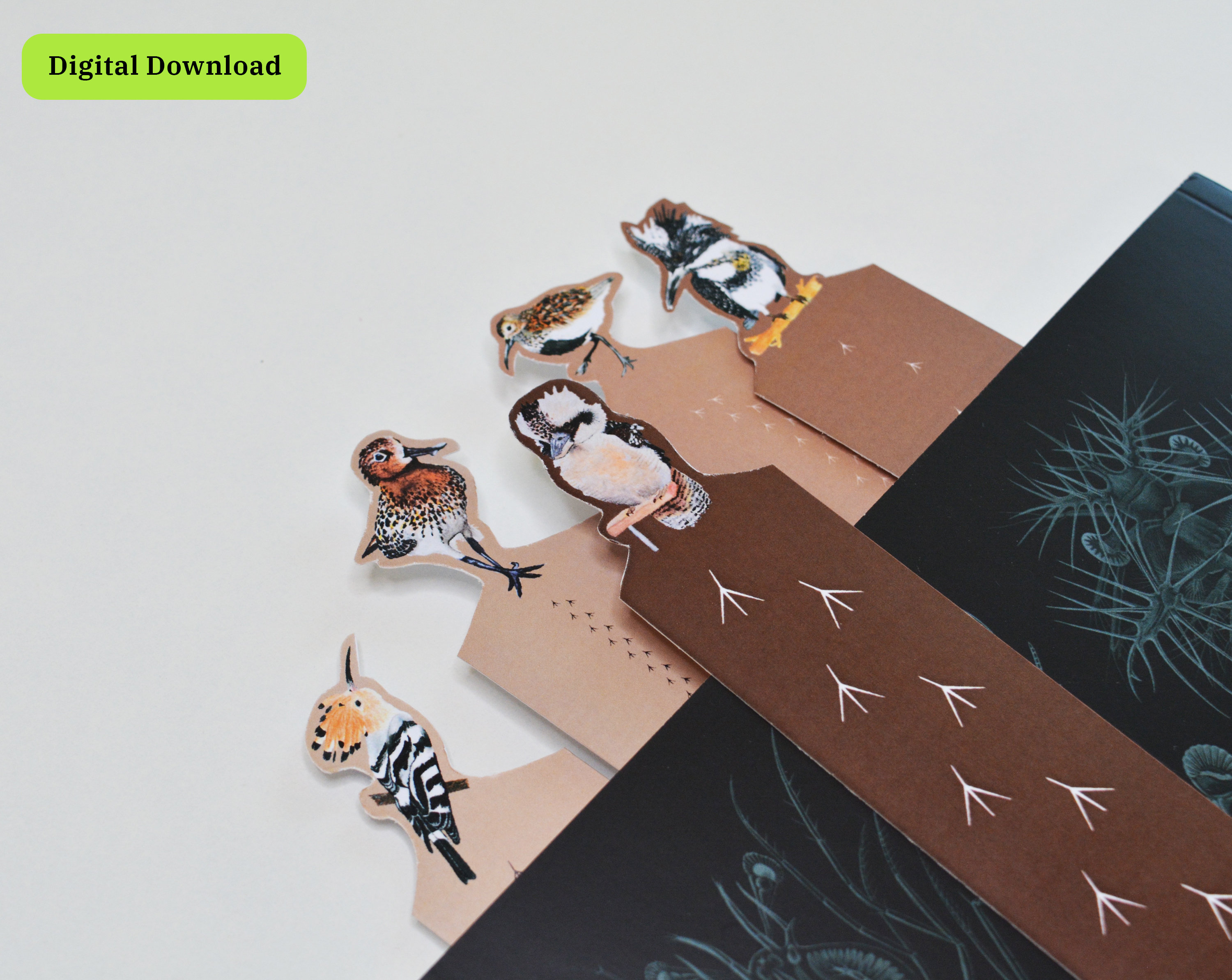 Set of 5 printable bookmarks with birds Digital Download Etsy