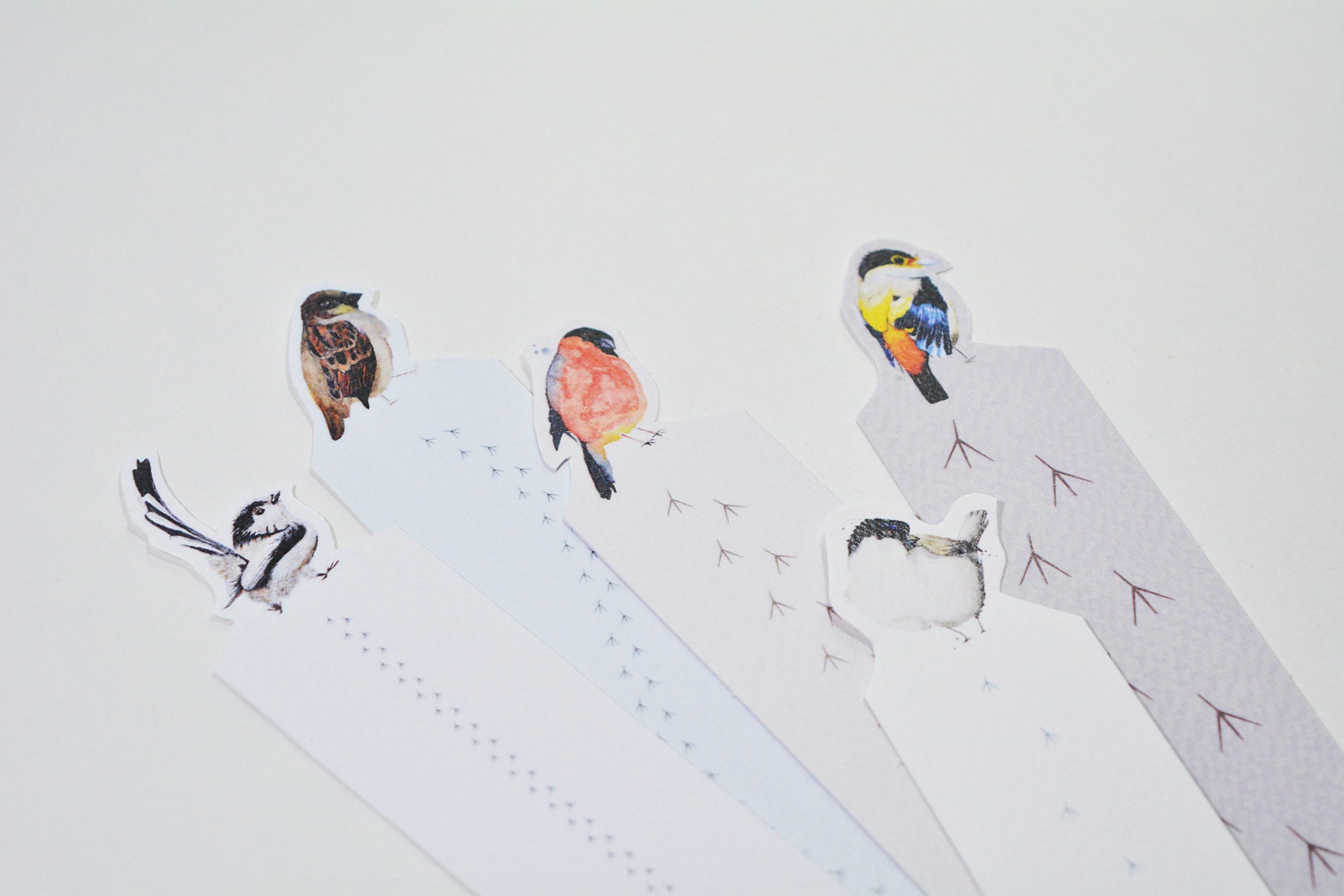 Set of 5 Printable Bookmarks With Watercolor Birds Digital | Etsy
