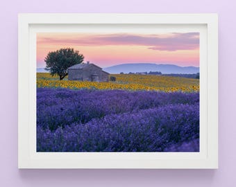 Print Provence lavendelveld: rustieke muurkunst op het Franse platteland