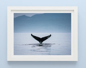 Humpback Whale Tail Fine Art Print: Vancouver Island Coastal Landscape