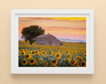 French Country Sunflower Wall Art, Yellow Landscape Print