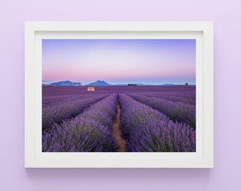 Lavendelveld zonsondergang print: Valensole Provence Fine Art