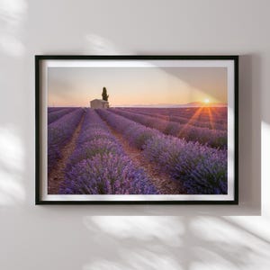 Provence Lavender Field Wall Art Print, Valensole Sunset Landscape Photography, French Countryside Decor, Purple Floral Nature Poster