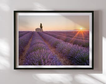 Print Provence lavendelveld: zonsondergang Valensole, Frans platteland