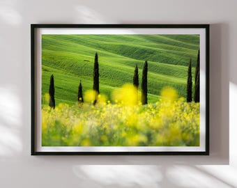 Tuscany Landscape Print: Val d'Orcia Spring, Cypress Trees Fine Art