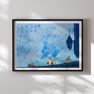Stampa di gatti di Chefchaouen, fotografia di gatti randagi marocchini, arte murale della città blu, decorazione di felini esotici, stampa artistica da viaggio, regalo per amanti degli animali