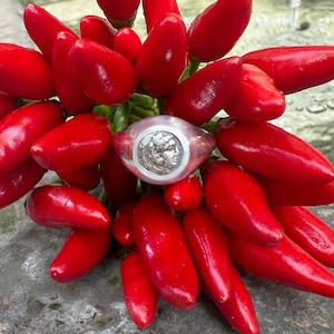 May include: A silver ring with a round, raised design featuring a profile of a woman's face. The ring is surrounded by red chilli peppers.