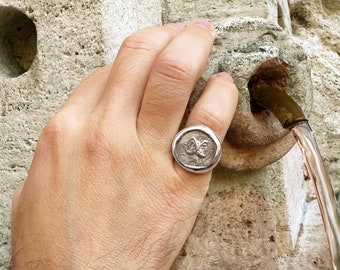 Authentic Roman coin ( 2nd cent. BC ) depicting two-faced Janus sterling silver ring