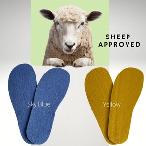 Pu&ograve; includere: Due paia di solette in lana, un paio &egrave; blu cielo e l'altro paio &egrave; giallo. Le solette sono etichettate "Sky Blue" e "Yellow". Una pecora sta guardando sopra la parte superiore dell'immagine con il testo "SHEEP APPROVED" sopra.