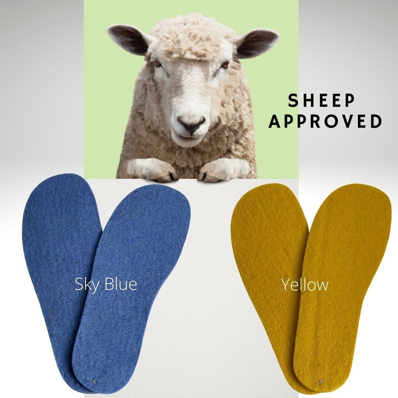 Pu&ograve; includere: Due paia di solette in lana, un paio &egrave; blu cielo e l'altro paio &egrave; giallo. Le solette sono etichettate "Sky Blue" e "Yellow". Una pecora sta guardando sopra la parte superiore dell'immagine con il testo "SHEEP APPROVED" sopra.