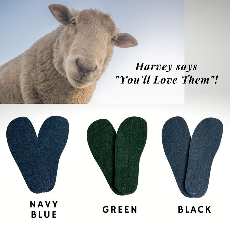 Pu&ograve; includere: Tre paia di solette in lana di colore blu navy, verde e nero. Le solette hanno la forma del piede e sono progettate per essere comode e di supporto. Il testo "Harvey says "You'll Love Them"!" &egrave; scritto sopra le solette.