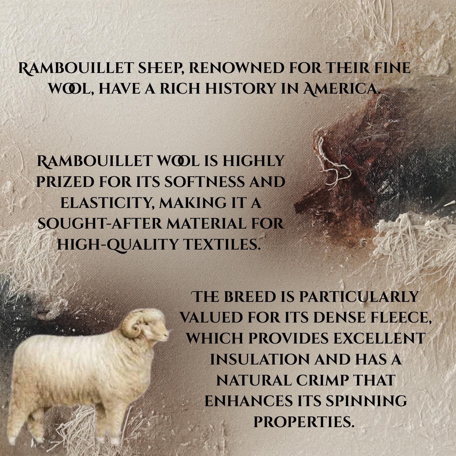 Fine American Merino Rambouillet Wool Bulky - Climate Beneficial ...