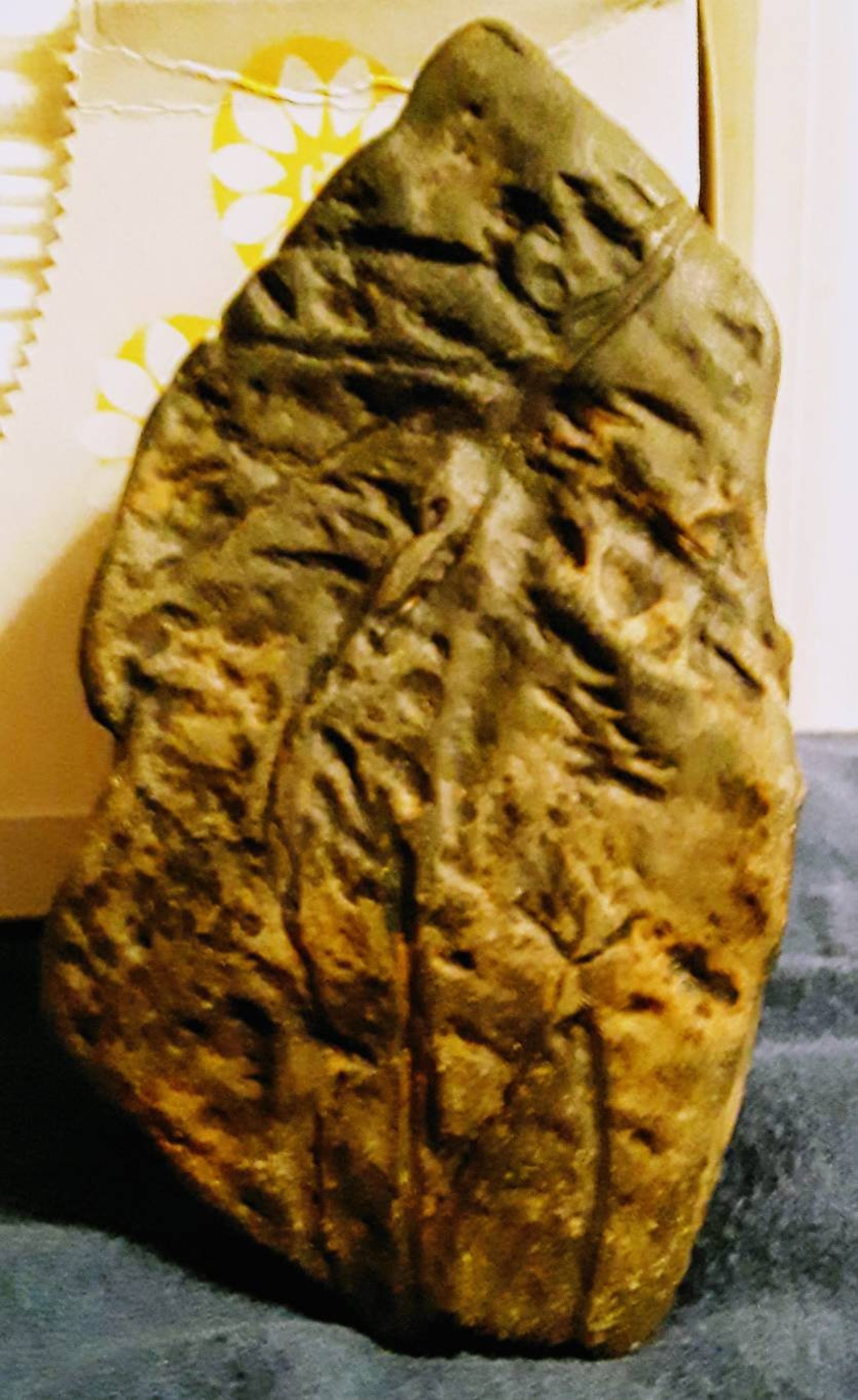 Rare Native American Effigy Stones - 95l6rm2