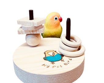 MY PET BIRD Mini-Ringwurf | Interaktive und unterhaltsame Papageien-Edition W757