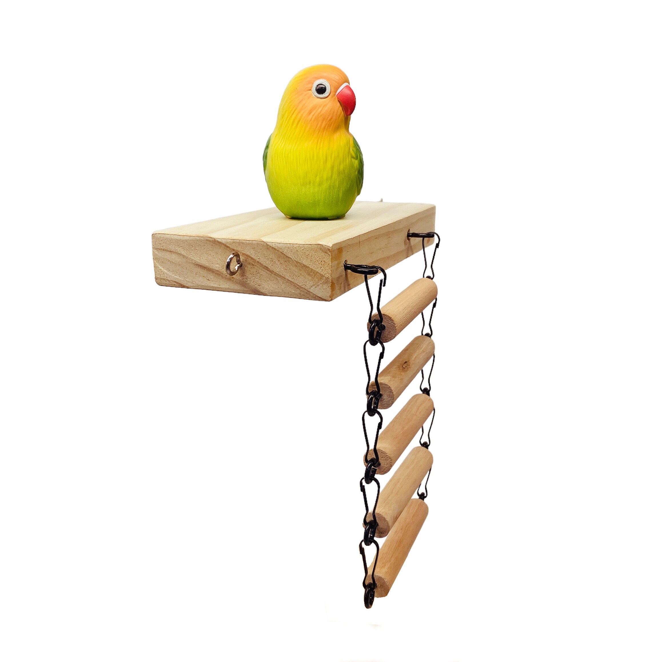 Curated visual reference: Macaw Perch And Ladder Reference: Parrot Perch And Ladder Combination Set W735My Pet Bird 我的寵物鳥