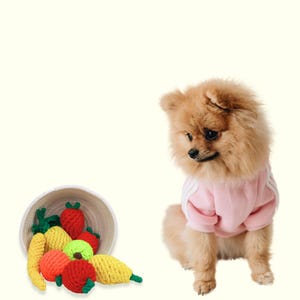 Handmade Sustainable Dog Fruit Rope Toys For Puppies and Cats, Soft Chew Rope Toys, and Colorful Toys For Pets, Christmas Gifts For Pets