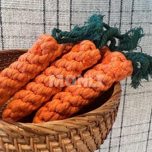 Carrot Rope Toys: Puppy Teething Chew Toy Set