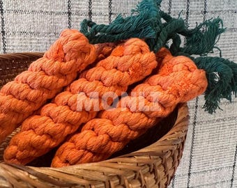 Carrot Rope Toys: Puppy Teething Chew Toy Set