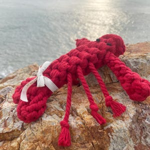 Rose the Lobster Pet Rope Toys,Toys For Pets, Gifts For Pets, Dog and Cat Chew Toys, Big dogs need Cute Toys