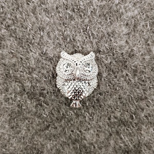 May include: A silver owl brooch with rhinestone eyes. The owl is detailed with a textured pattern and has a slightly raised beak.