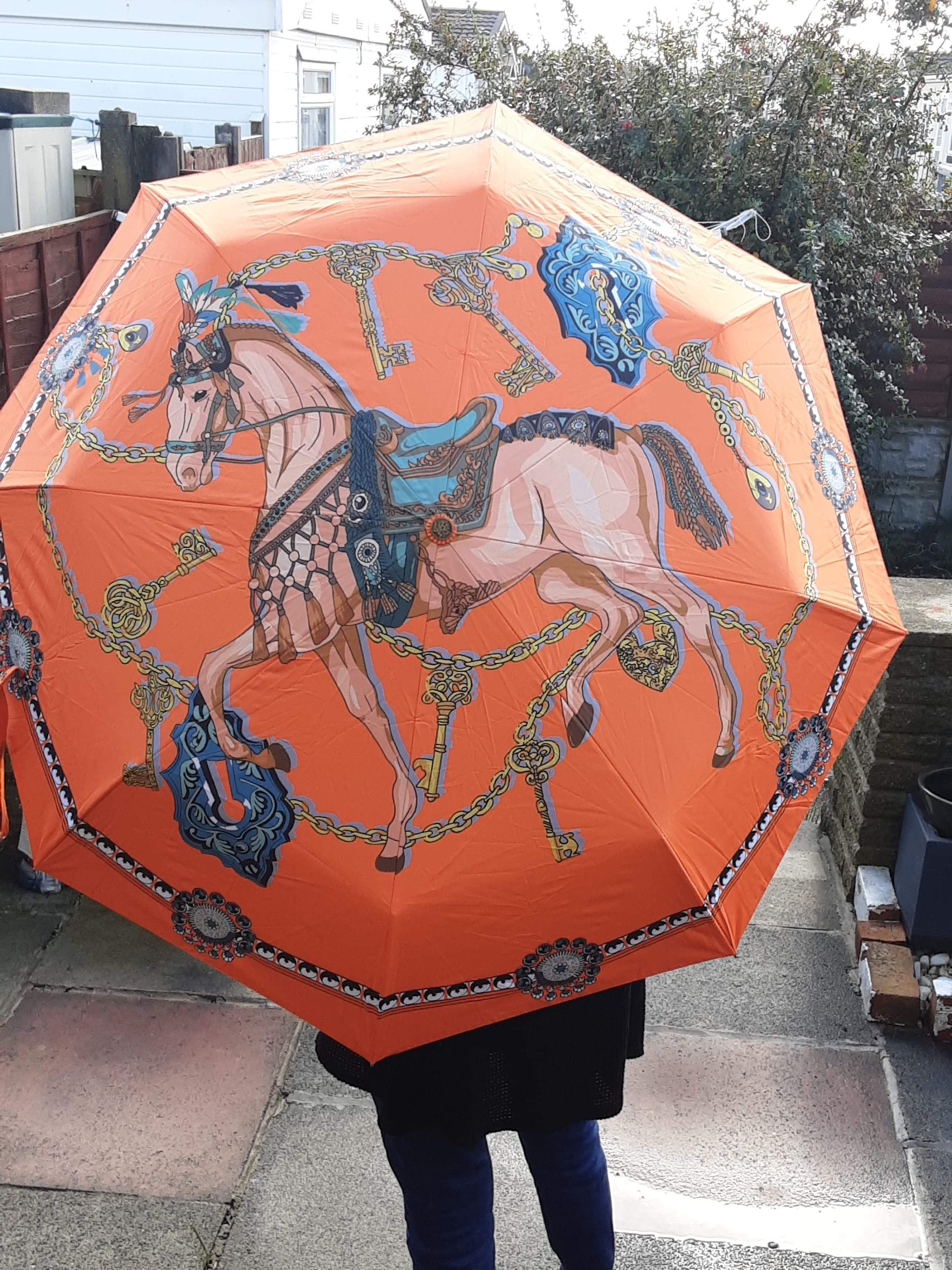 Jacht land paraplu lopen door kunstenaar Grace Scott Accessoires Paraplus & regenaccessoires 