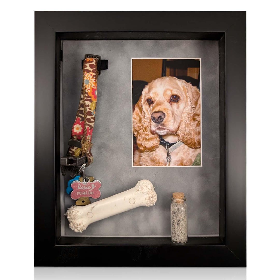 Iframe Pet Memorial Shadow Box and Picture Frame for 4”x6” Photo ...