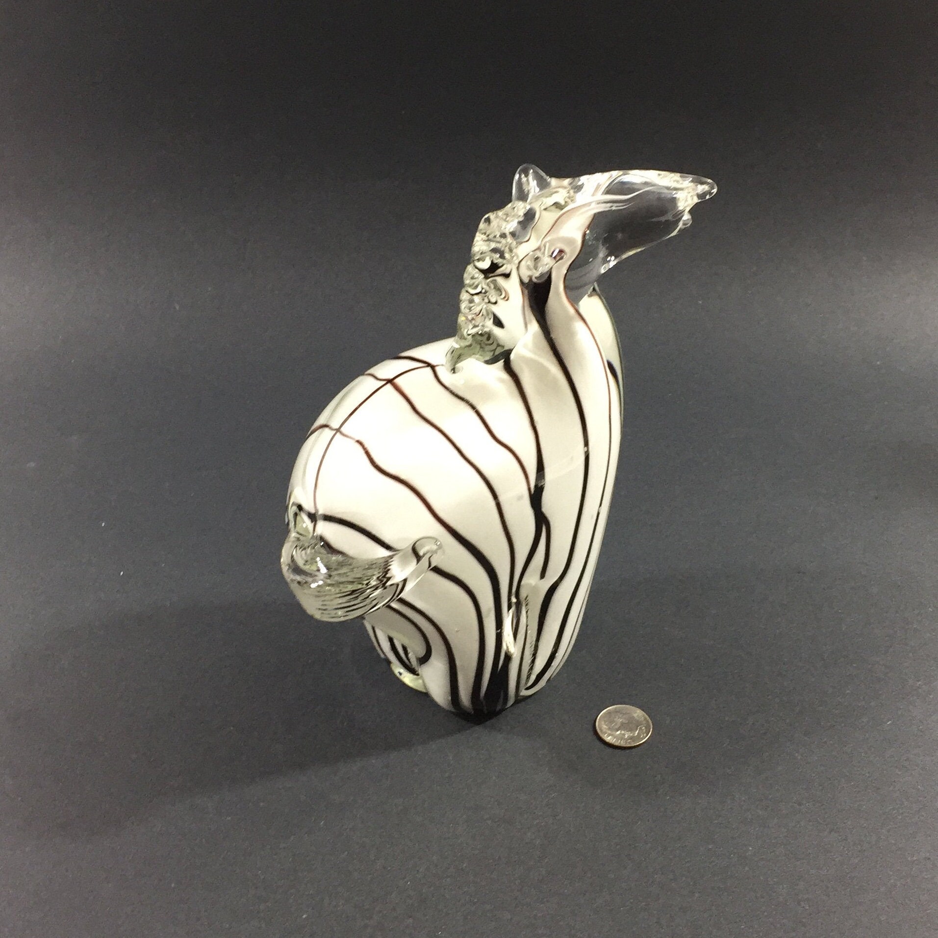 murano zebra
