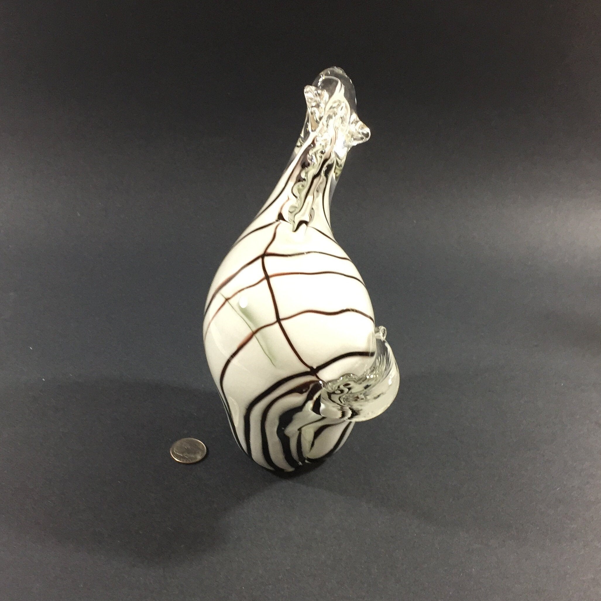 murano zebra