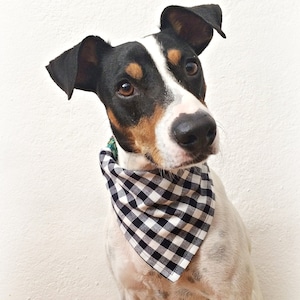 Dog Bandana Blue Gingham , Navy Blue , male dog bandana ,  bandana collar cover
