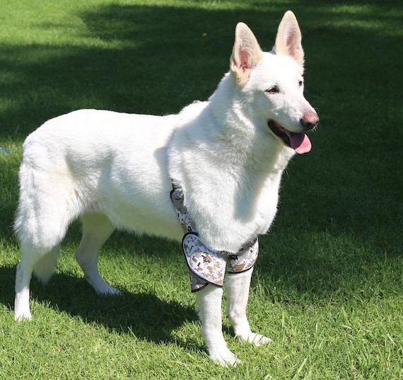 German shepherd elbow pads online