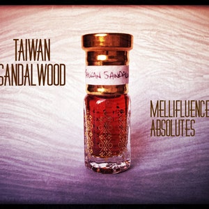 Taiwanese Sandalwood Absolute 50% - Intense Woody Terpentine Aroma