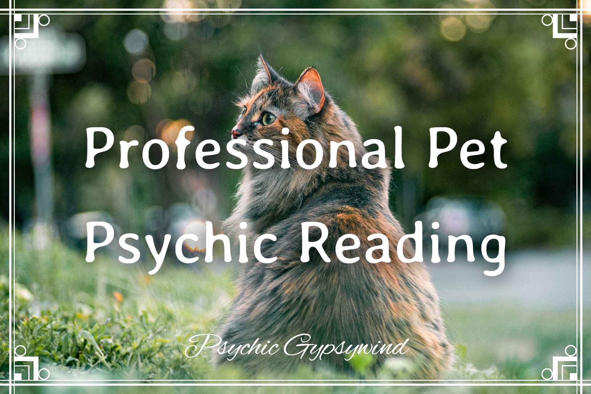 Professional Pet Psychic Reading Pet Whisperer Animal - Etsy UK