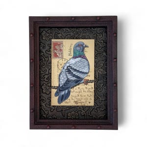 Aquarelle originale de pigeon d'art sur une carte postale vintage de 1925 de Nancy, France, érable, encadré personnalisé, fond de coffre en fer blanc, papier éphémères