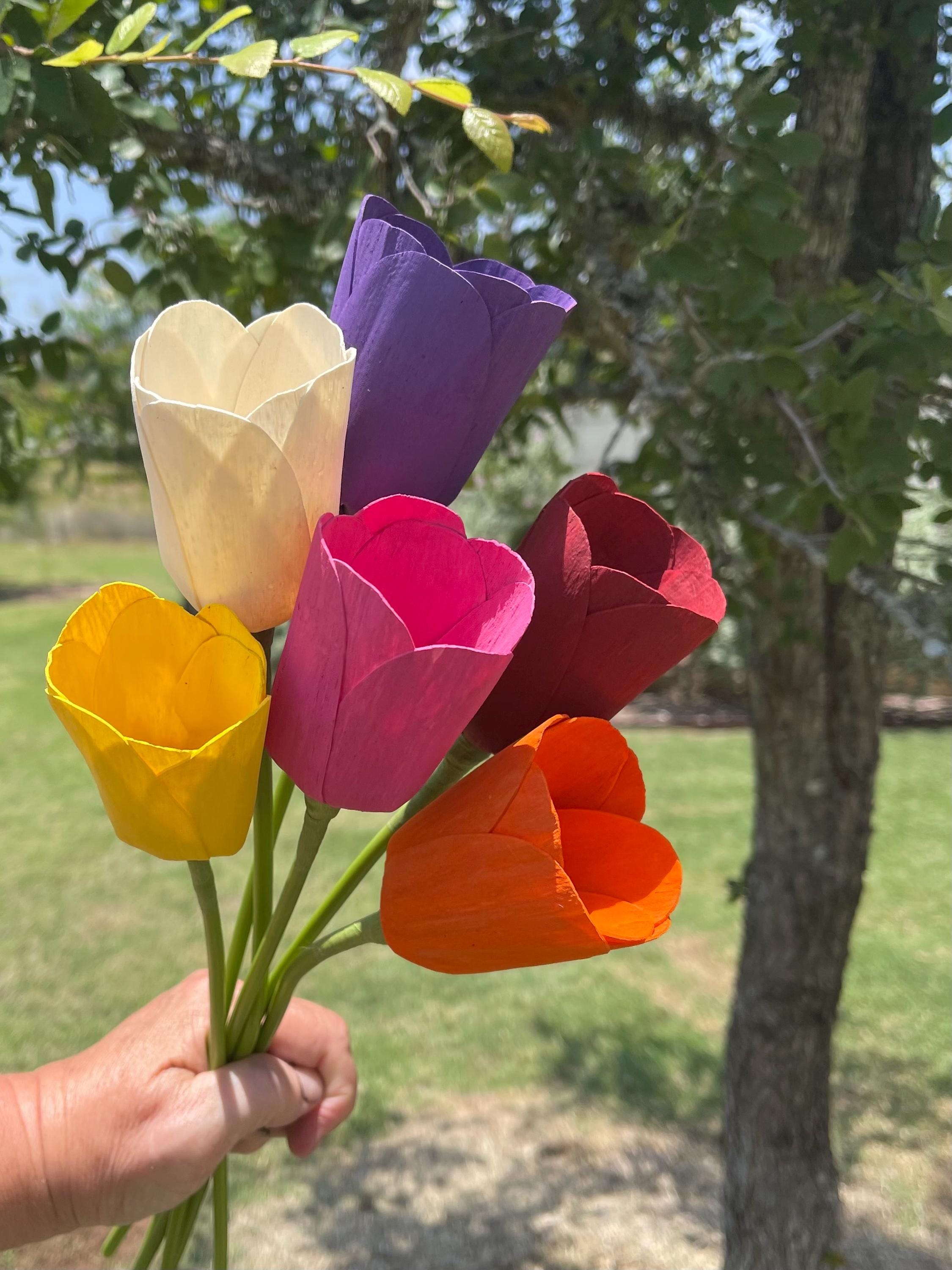 邦楽 TULIP The Complete Single Box VIZL-221 Sola Wood Flower Tulips Red Pink Orange Yellow Green Blue Purple