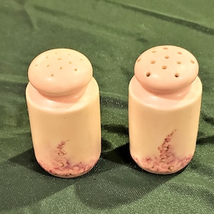 Nippon Japan Hand Painted Cherry Blossom Floral Fine Porcelain Salt Pepper Shakers