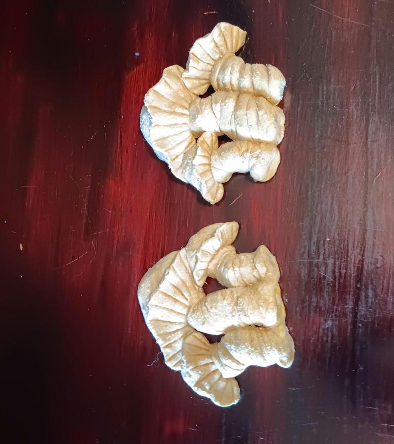 Mushrooms Homemade Natural Wall Hanging Plaque Decor Set of 2 Clay