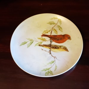 Könnte beinhalten: Ein weißer Porzellanteller mit handbemaltem Design von zwei Vögeln, die auf einem Ast sitzen. Die Vögel sind in Rot-, Gelb- und Grüntönen bemalt.