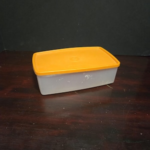 May include: A rectangular food storage container with a translucent body and an orange lid. The lid has a slightly raised center. The container is made of plastic and is likely used for storing food items.
