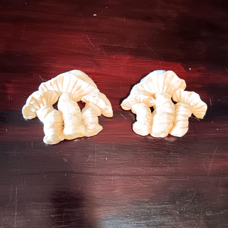 Mushrooms Homemade Natural Wall Hanging Plaque Decor Set of 2 Clay