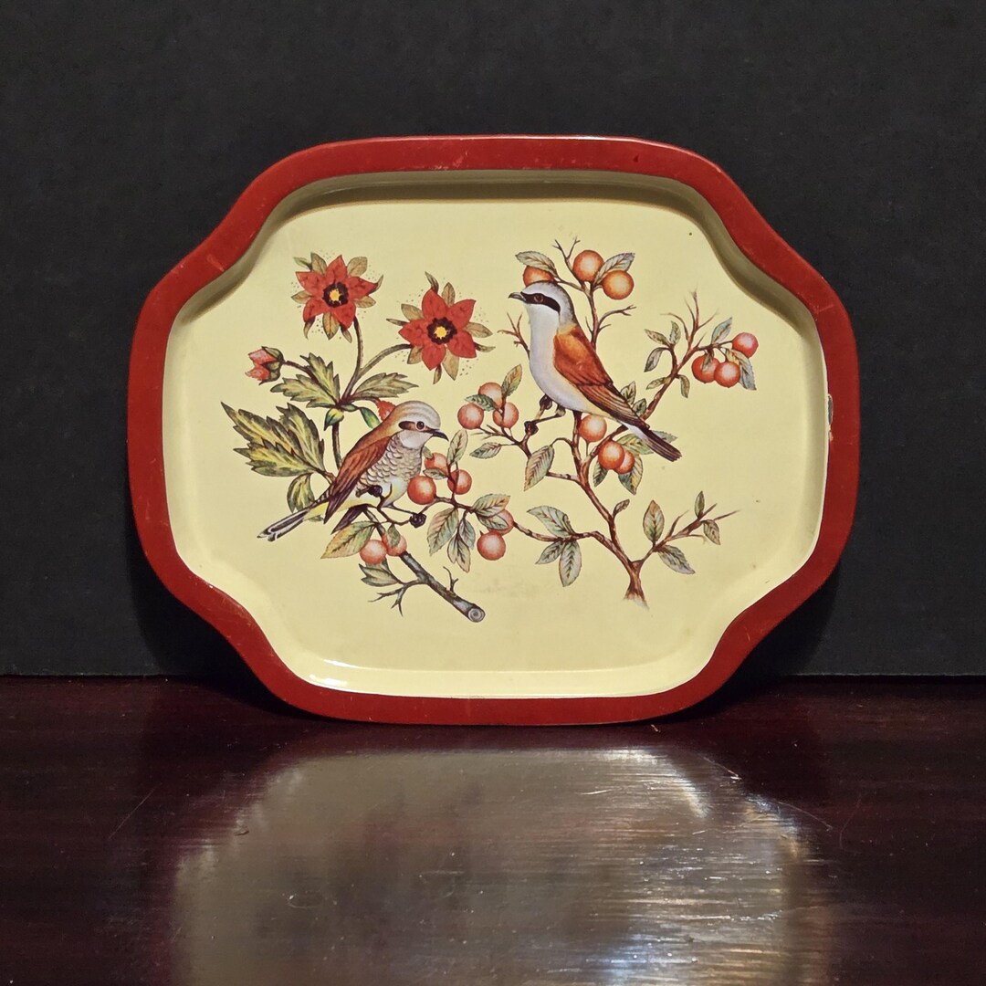 Gond Tray Little Birds Motif