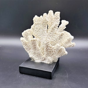 Faux Coral on Black resin Stand Pottery Barn Porcelain