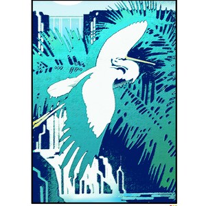 Stork Aqua