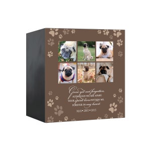 Pet Memorial Shadow Box Urn for Animal Ashes | Dog Urn for Ashes | Cat Urn for Ashes | Dog Memorial Gifts | Cat Memorial Gifts