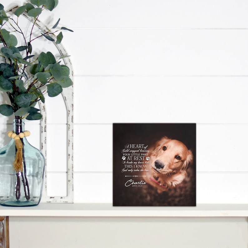 May include: A square memorial plaque featuring a golden retriever looking upward, with the text: A HEART of Gold stopped beating, FOUR LITTLE PAWS AT REST It broke my heart but THIS I KNOW God only takes the best. Charlie 2015-2021.