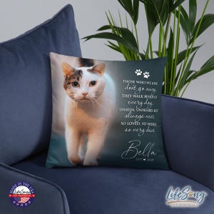 Pet Memorial Gift, Personalized Dog Memorial Pillow, Custom Pet Loss Keepsake, Pet Loss Pillow, Dog Remembrance, Pet Memorial Pillow