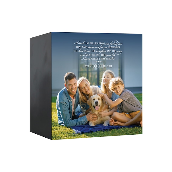 shadow box for dog ashes