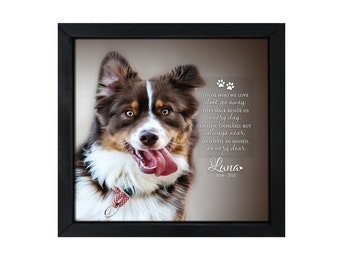 Personalized Pet Memorial Frame | Shadow Box Frame | Custom Pet Portrait | Pet Photo Frame | Pet Sympathy Gift | Loss Of Dog | Loss Of Cat