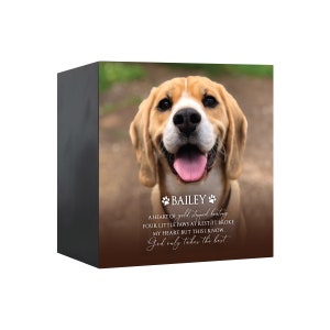 May include: A black wooden box with a photo of a brown and white beagle dog. The dog is smiling and has its tongue sticking out. The text "BAILEY" is printed above the dog's photo, and the text "A HEART OF gold stopped beating FOUR LITTLE PAWS AT REST. IT BROKE MY HEART BUT THIS I KNOW. God only takes the best." is printed below the dog's photo.