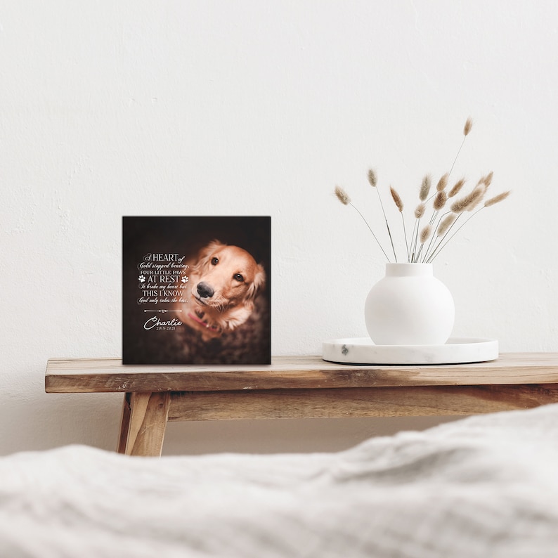 May include: A square black memorial plaque featuring a photograph of a golden dog looking upward. The text reads: A HEART of Gold stopped beating, FOUR LITTLE PAWS AT REST It broke my heart but THIS I KNOW God only takes the best. Charlie 2015-2023.