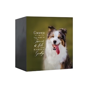 Pet Memorial Shadow Box Urn for Animal Ashes | Dog Urn for Ashes | Cat Urn for Ashes | Dog Memorial Gifts | Cat Memorial Gifts